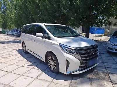 2021 GAC Trumpchi Trumpchi M8 Leading Show Series 390T Prestige Edition, фото 4, лот 10422833