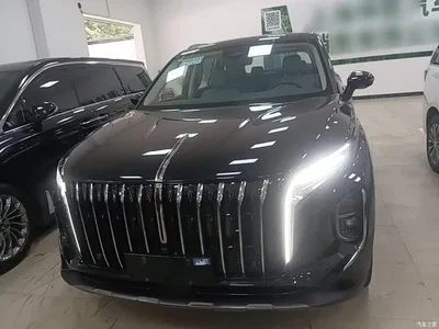 2025 Hongqi HS7 PHEV 2.0T PHEV 2WD Flag Enjoy Edition (6-seater), фото 3, лот 10440340