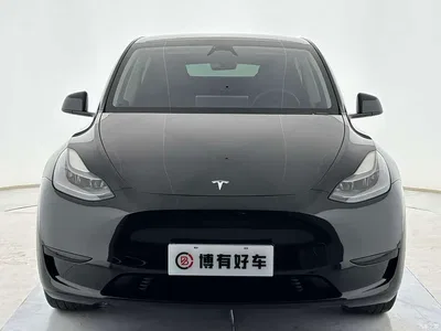 2024 Tesla Model Y Rear-Wheel Drive Version, фото 2, лот 11193301