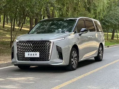 2022 SAIC Maxus Maxus G90 2.0T Interstellar Six-Seater, фото 1, лот 11148451