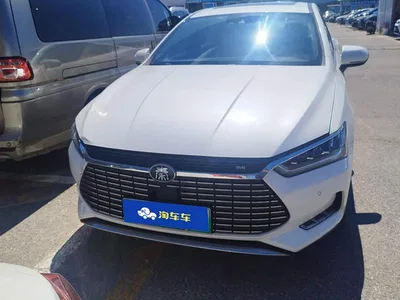 2018 BYD Qin Pro New Energy EV500 Smart Connected Leader Premium, фото 2, лот 10957848