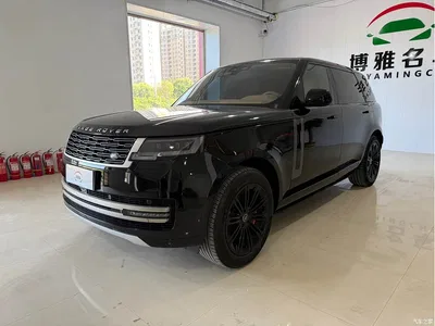 2024 Land Rover Range Rover 3.0 L6 400PS Golden Age Extended 7-Seater, фото 3, лот 11221995