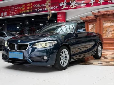 2015 BMW 2 Series (Import) 218i Convertible Coupe, фото 1, лот 10237367