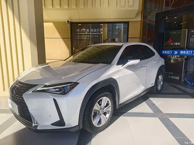 2019 Lexus UX 260h Explorer Fun Edition (China V), фото 1, лот 11548826