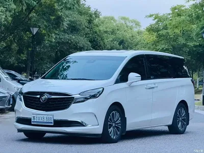 2020 Buick GL8 Model ES Landglory 653T Luxury, фото 1, лот 10887237