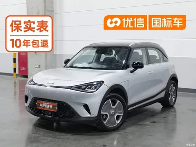 2022 smart Elf #1 Pro+ Edition, фото 1, лот 10573811