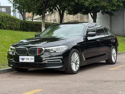 2019 BMW 5 Series 525Li Luxury Package, фото 1, лот 11002878