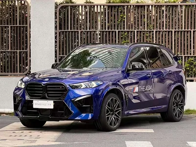 2023 BMW X5 M Model X5 M Thunder Edition, фото 1, лот 10407525