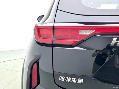 2021 Haval Chitu Turbo Edition 1.5T Golden Rabbit, фото 3, лот 11548117
