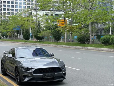 2021 Ford Mustang 2.3T EcoBoost Obsidian Phantom Special Edition, фото 3, лот 10295821
