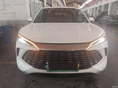 2024 BYD Song L DM-i 112km Superior, фото 3, лот 10276862