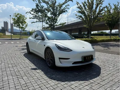 2021 Tesla Model 3 Standard Range Rear-Wheel Drive Upgrade 3D6, фото 2, лот 10352856