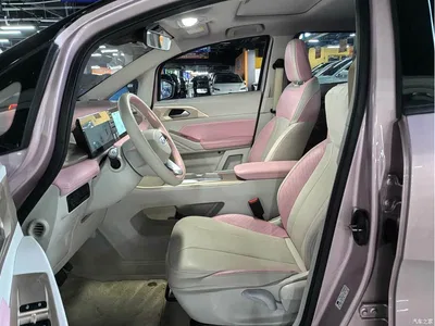 2023 Geely E Firefly 401KM Super Fan Special Edition 5-Seater, фото 4, лот 11156991