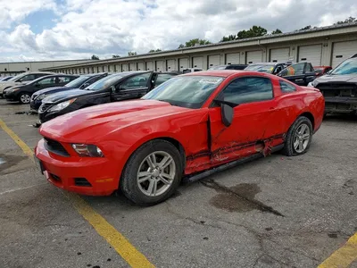 2011 FORD MUSTANG, фото 1, лот 10531224