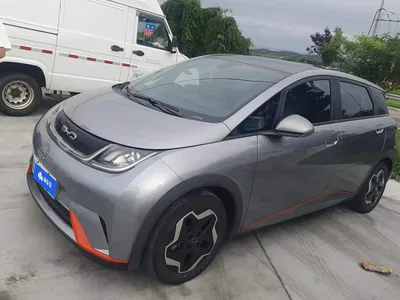 2021 BYD Dolphin Model 405km Fashion Edition, фото 1, лот 10448342