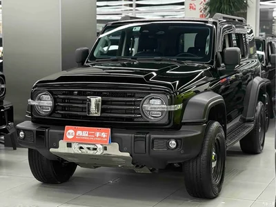 2021 Tank 300 Off-road Version 2.0T Conqueror, фото 1, лот 11512382