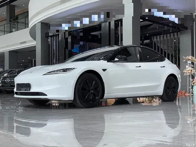 2023 Tesla Model 3 Long Range All-Wheel Drive, фото 1, лот 10334473