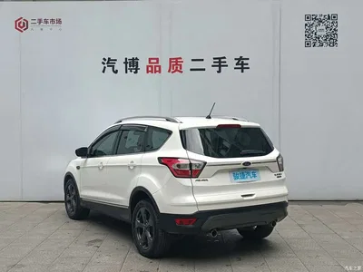 2019 Ford Kuga EcoBoost 245 4WD Luxury Wing Type China VI, фото 4, лот 10298032