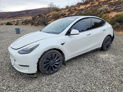 2023 TESLA MODEL Y, фото 1, лот 10856101