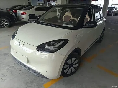 2023 Wuling Motors Wuling Bingo 333km Joyful Version, фото 1, лот 11074457