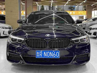 2019 BMW 5 Series 530Li Leading M Sport Package, фото 2, лот 11206412