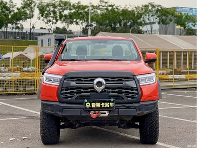 2021 Great Wall Pao 2.0T Cannon Edition GW4C20B, фото 2, лот 10245853