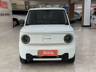 2023 Geely Galaxy Panda Mini 200km Endurance Bear, фото 2, лот 11097175