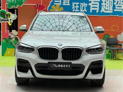 2021 BMW X3 xDrive25i M Sport Package, фото 2, лот 10461517