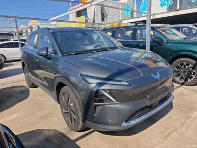 2025 Wuling Motors Wuling Xingguang S 130km Pilot, фото 3, лот 11583289