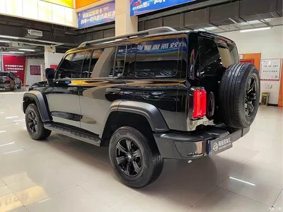 2024 Tank 300 Model 2.0T Challenger, фото 4, лот 11179839