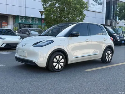 2024 Wuling Motors Wuling Bingo 333km Smart Connect Edition, фото 1, лот 10368084