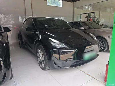 2023 Tesla Model Y Rear-Wheel Drive Edition, фото 4, лот 11089772