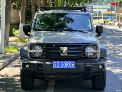 2021 Tank 300 Off-road Version 2.0T Conqueror, фото 2, лот 10345095