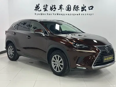 2020 Lexus NX 200 AWD F Sport China VI, фото 3, лот 10317183