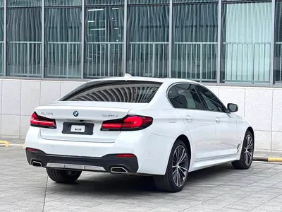2022 BMW 5 Series Facelift II 530Li Premium Package M Sport, фото 4, лот 11096802