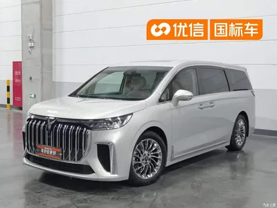 2024 Voyah Auto Voyah Dreamer PHEV Extended Range Flagship Edition, фото 1, лот 10358461