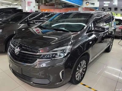 2021 Buick GL8 Land Business Class 652T Luxury, фото 2, лот 10887523