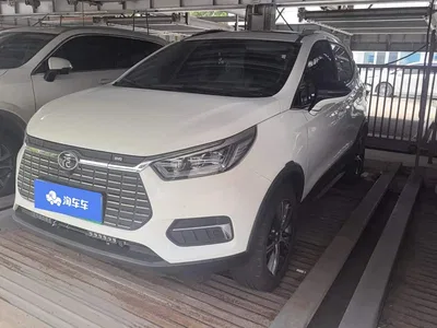 2019 BYD Yuan New Energy EV535 High Energy Navigation Edition, фото 1, лот 10273637
