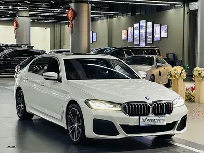 2022 BMW 5 Series 530Li Leading M Sport Package, фото 3, лот 10632690