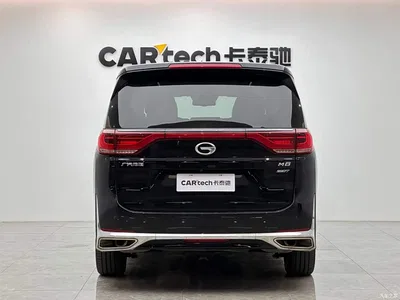 2021 GAC Trumpchi Trumpchi M8 Leading Show Series 390T Prestige Edition, фото 4, лот 10415694