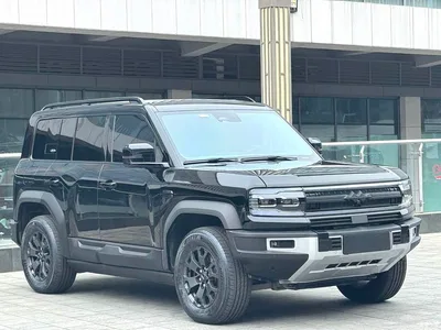 2023 Byd Leopard 5 Yun Nian Flagship Edition, фото 3, лот 10827886