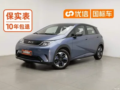 2025 BYD Dolphin 420km Freedom Edition, фото 1, лот 10826291