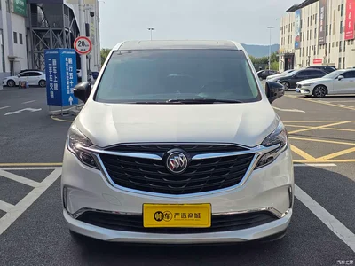 2021 Buick GL8 ES Landlord 653T Comfort, фото 3, лот 11450866