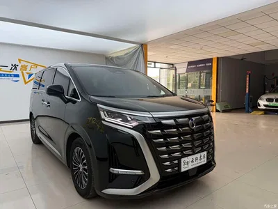 2024 Denza D9 DM-i 1050 Premium, фото 3, лот 10350976