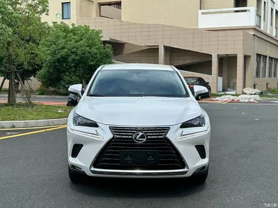 2018 Lexus NX Model 200 FWD Fengxing Edition China V, фото 2, лот 10317116