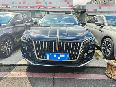 2024 Hongqi H5 1.5T DCT Smart Connect Flag Rhythm Edition, фото 2, лот 10616434