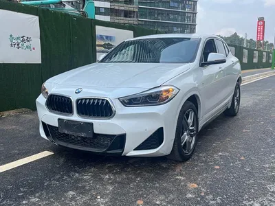 2021 BMW X2 sDrive25i Leading M Off-Road Package, фото 1, лот 10475592
