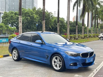 2019 BMW 3 Series GT 320i M Sport Package, фото 3, лот 10473432
