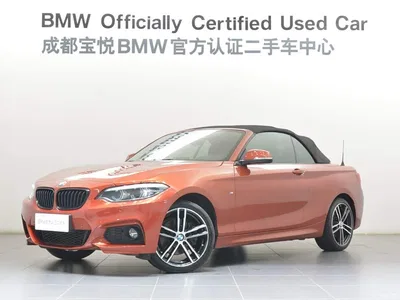 2019 BMW 2 Series (Import) 225i Convertible Coupe Exclusive M Sport Package, фото 1, лот 11247519