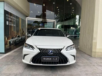 2021 Lexus ES 300h Excellence Edition, фото 1, лот 10289965